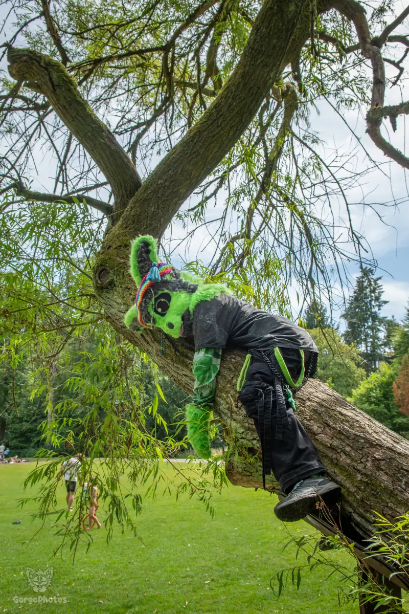 sonsbeekfurmeet_07-12-72-standard.webp