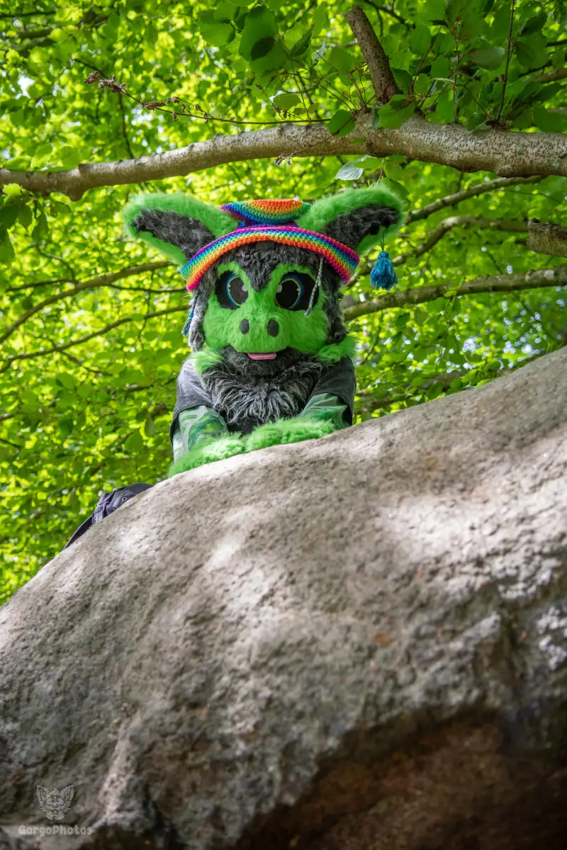 sonsbeekfurmeet_07-12-74-standard.webp