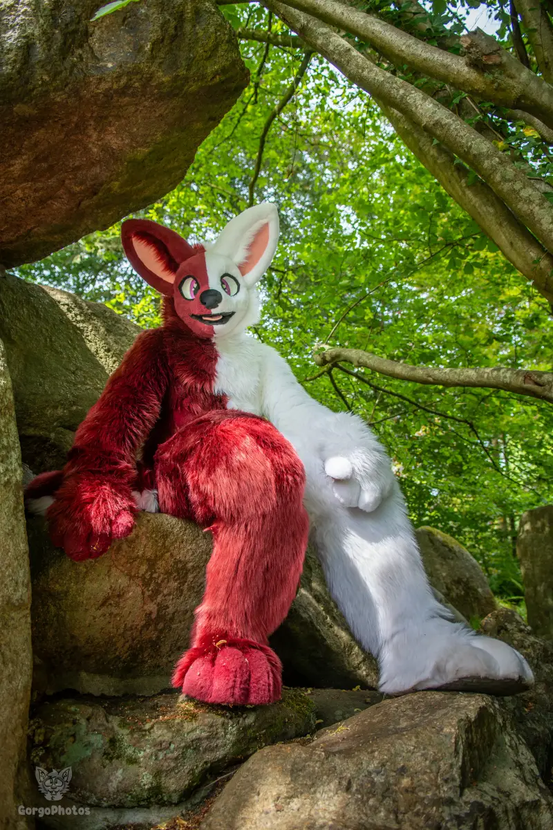 sonsbeekfurmeet_07-12-75-standard.webp