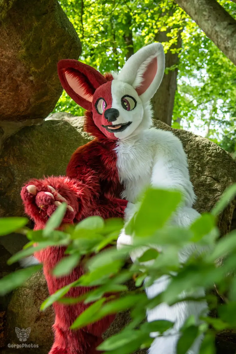 sonsbeekfurmeet_07-12-76-standard.webp