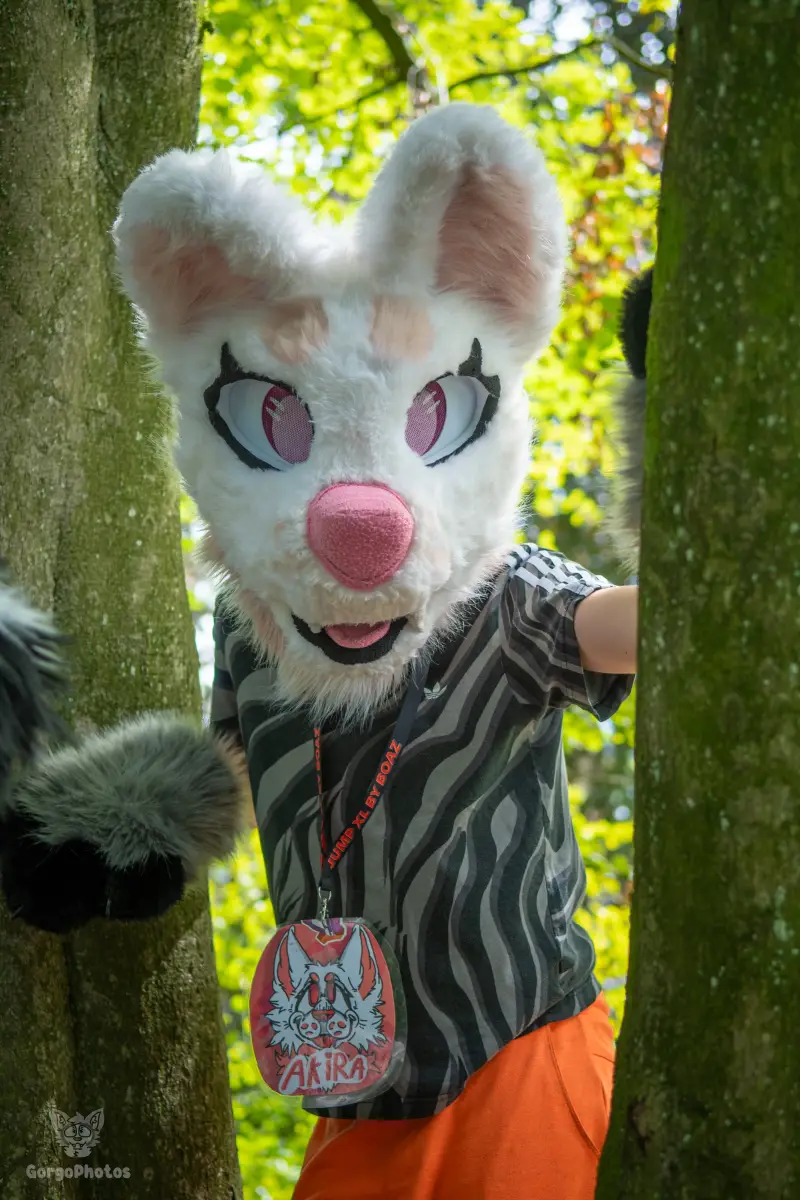 sonsbeekfurmeet_07-12-77-standard.webp