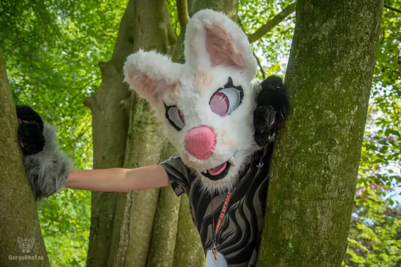 sonsbeekfurmeet_07-12-78-standard.webp