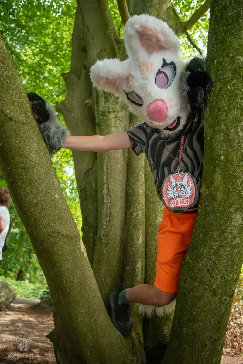 sonsbeekfurmeet_07-12-79-standard.webp