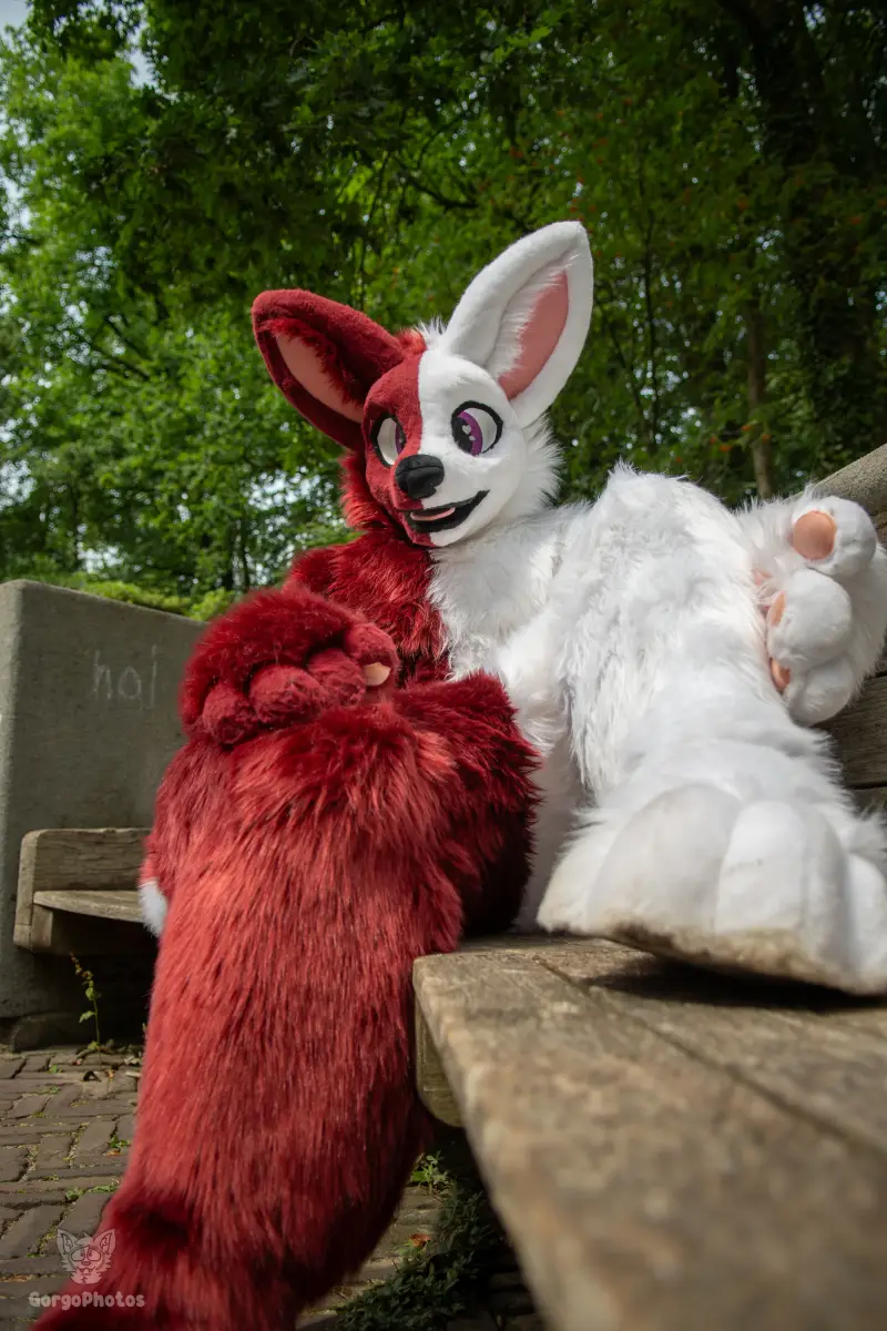 sonsbeekfurmeet_07-12-80-standard.webp