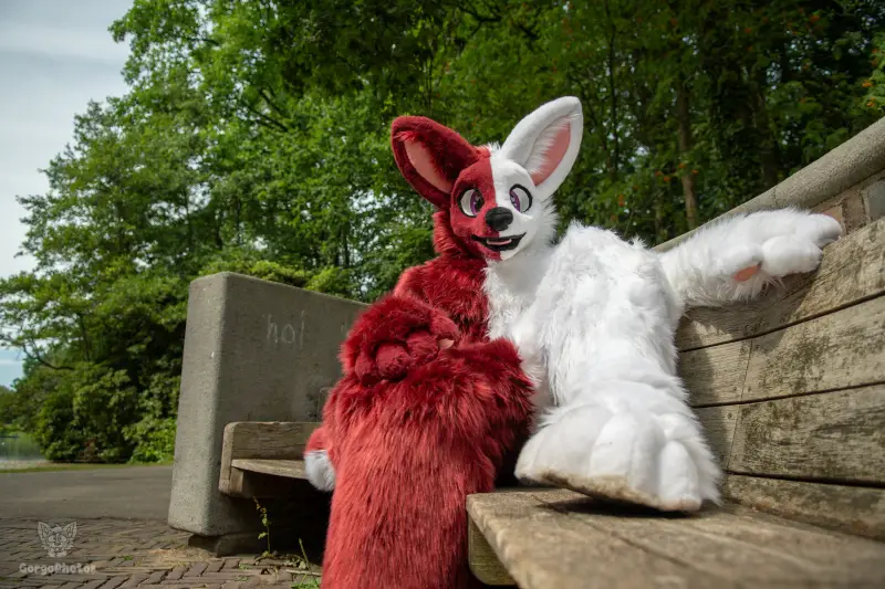 sonsbeekfurmeet_07-12-81-standard.webp