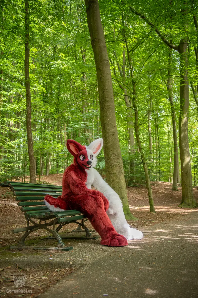 sonsbeekfurmeet_07-12-82-standard.webp