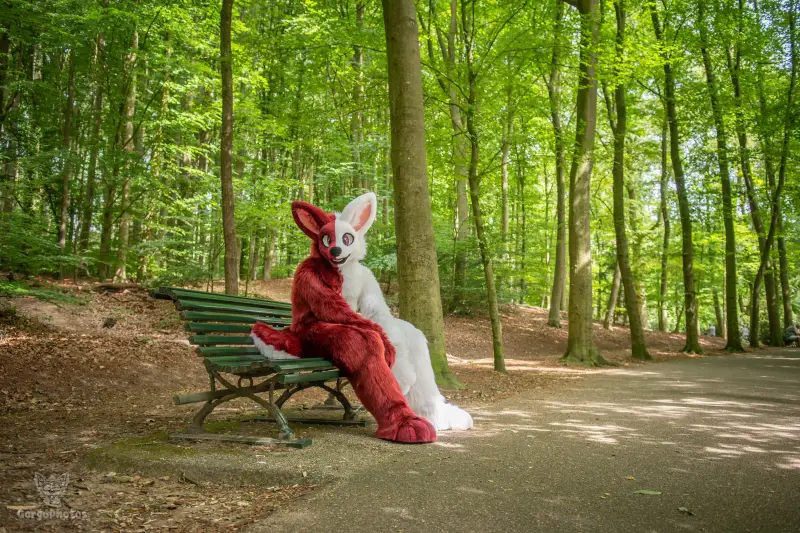 sonsbeekfurmeet_07-12-83-standard.webp