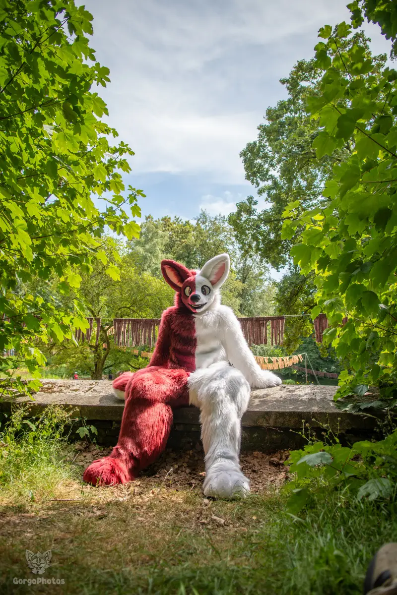 sonsbeekfurmeet_07-12-84-standard.webp