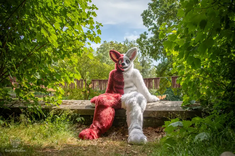 sonsbeekfurmeet_07-12-85-standard.webp