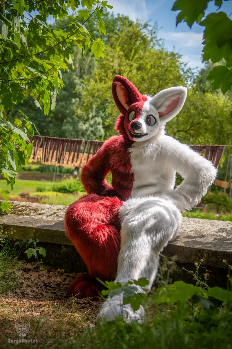 sonsbeekfurmeet_07-12-86-standard.webp