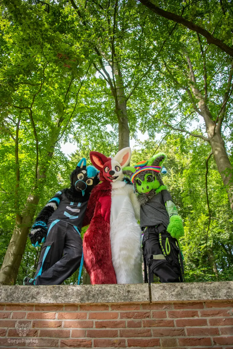 sonsbeekfurmeet_07-12-88-standard.webp