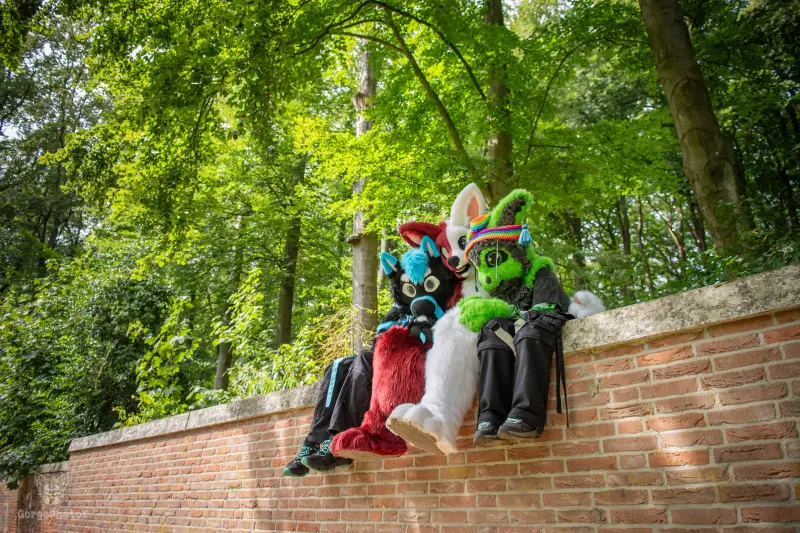 sonsbeekfurmeet_07-12-89-standard.webp