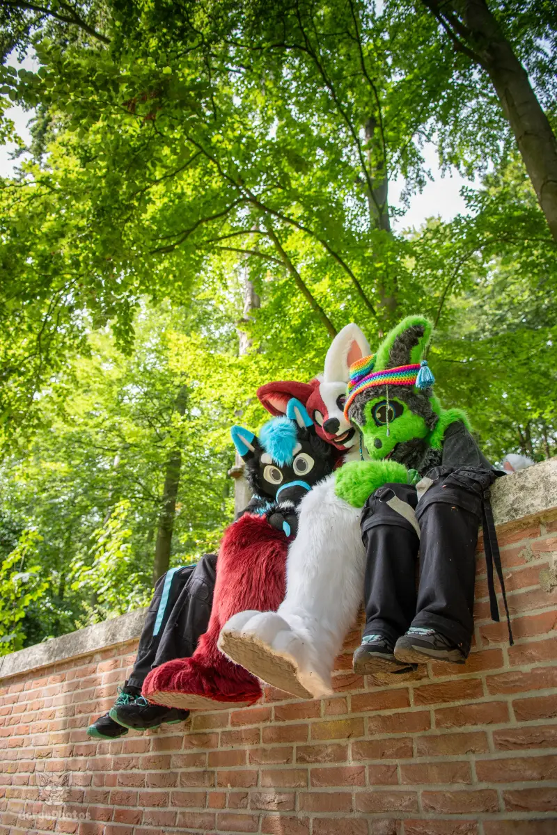 sonsbeekfurmeet_07-12-90-standard.webp