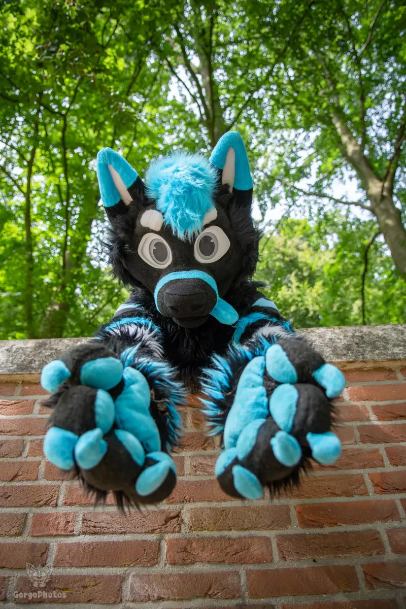 sonsbeekfurmeet_07-12-91-standard.webp