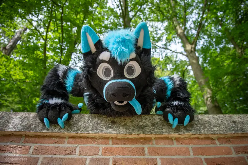 sonsbeekfurmeet_07-12-92-standard.webp