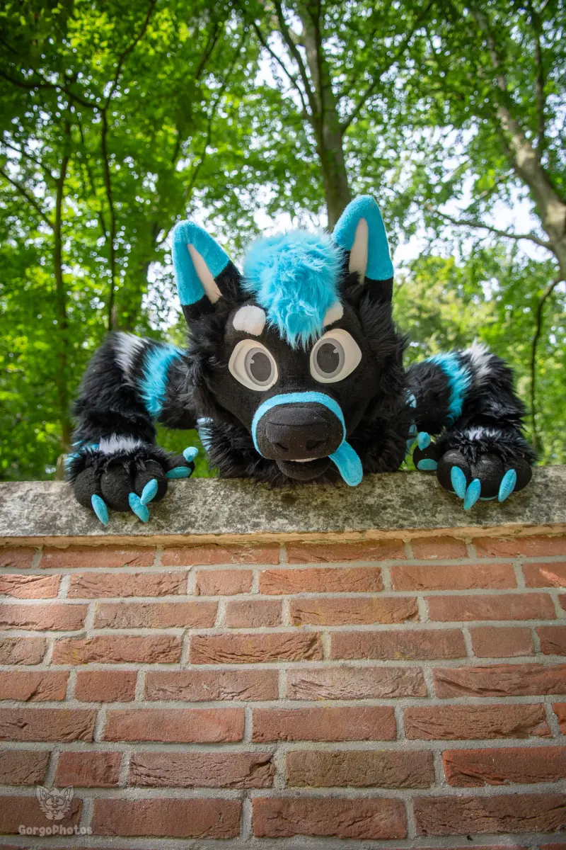 sonsbeekfurmeet_07-12-93-standard.webp