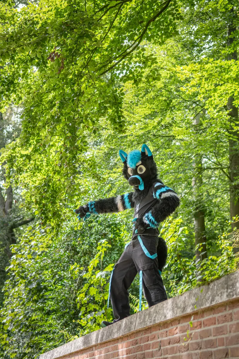 sonsbeekfurmeet_07-12-94-standard.webp