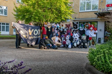 voxcafe-_6-24-26-standard.webp