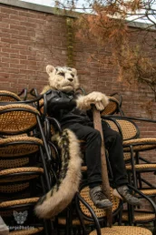 voxcafe-_6-24-42-standard.webp