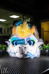 voxcafeapril2025-74-standard.webp