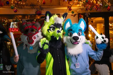 voxcafedecember2024-53-standard.webp