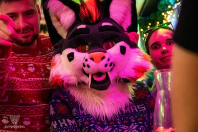 voxcafedecember2024-7-standard.webp