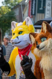 voxcafeseptember2024-11-standard-ttha4d.webp