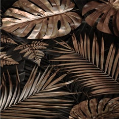 Bronsemius2.jpg