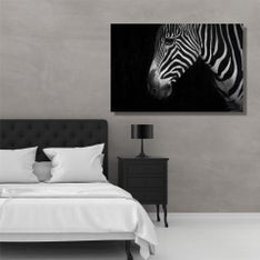 Zebra1.jpg