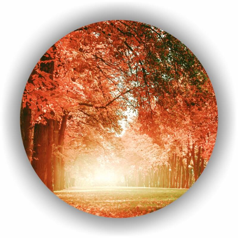 CirkelAutumn.jpg