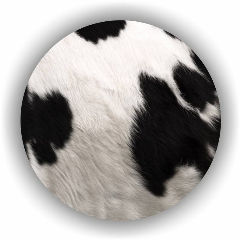 CirkelCow.jpg