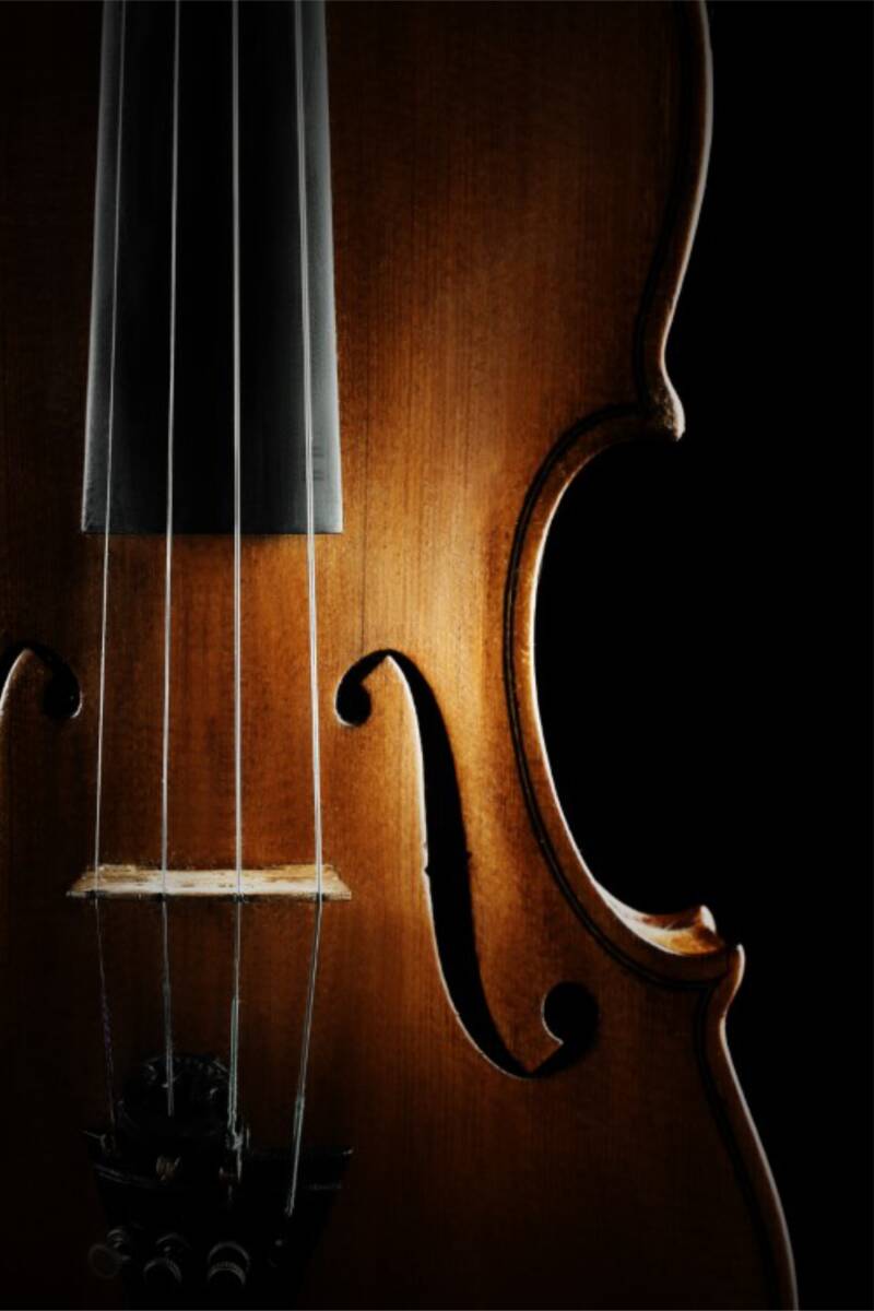 Violin2-1.jpg