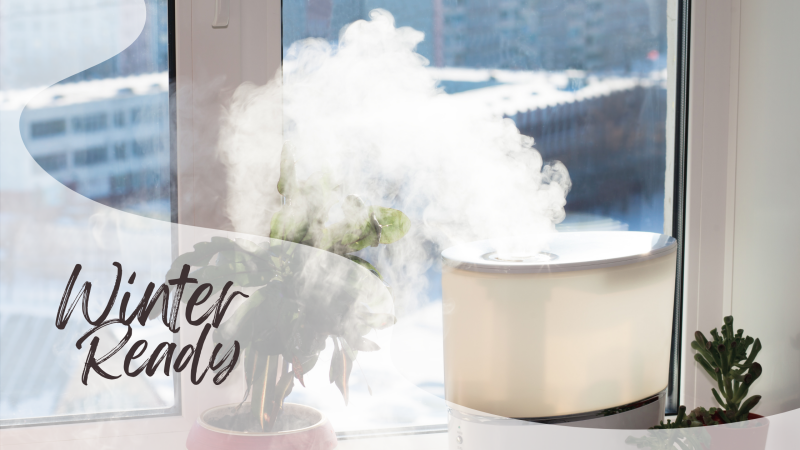 houseplant at the window with humidifier making mist 