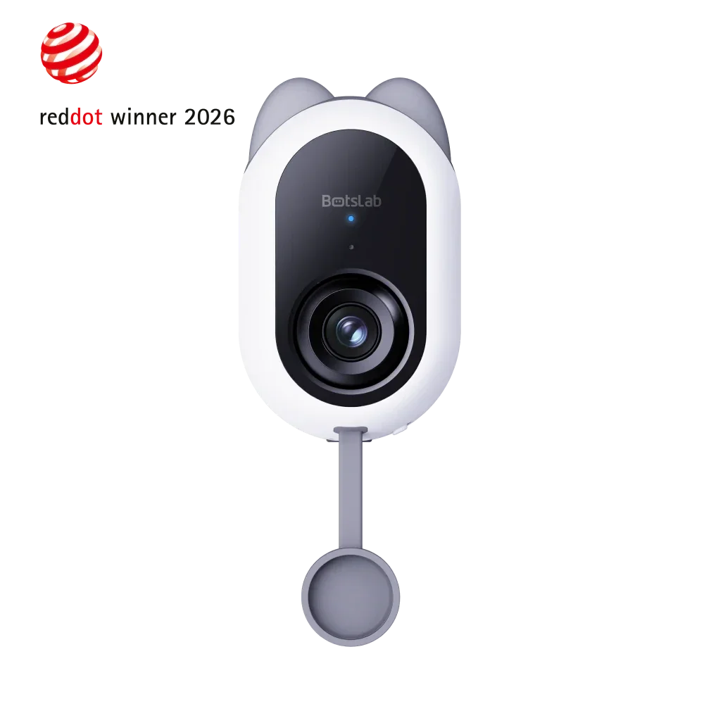 W101   Botslab   Window   Camera