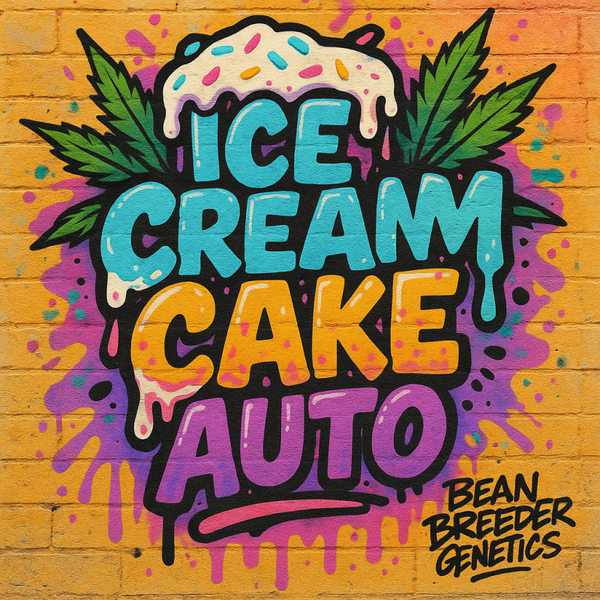 ICE CREAM CAKE AUTO (6PK)