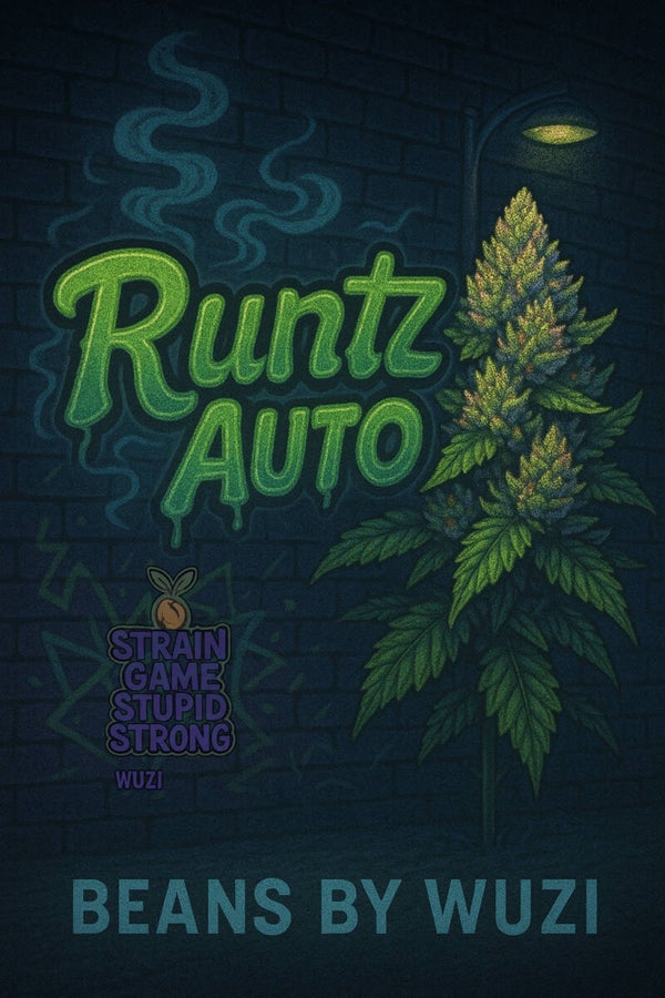 RUNTZ AUTO