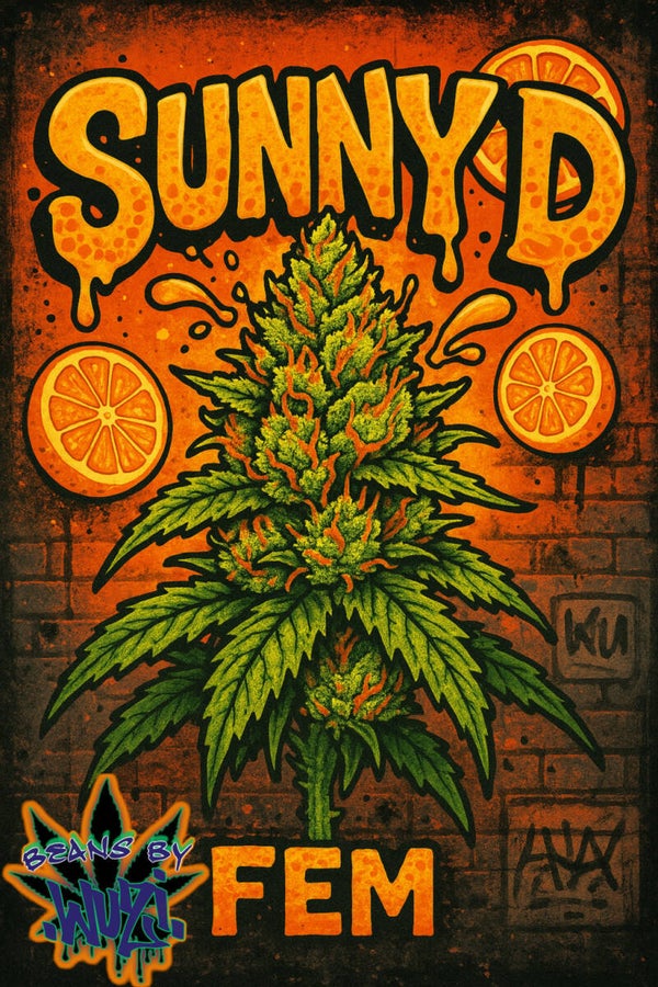 SUNNY D FEM