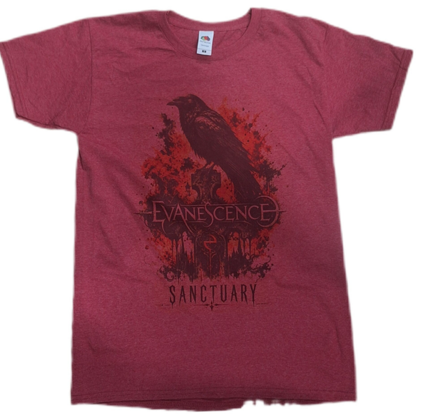 CAMISETA EVANESCENCE