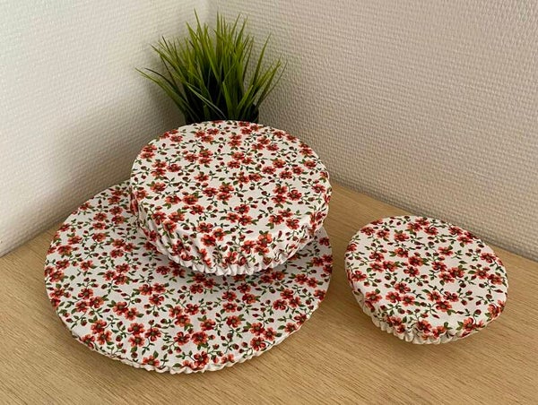 CHARLOTTES ALIMENTAIRES