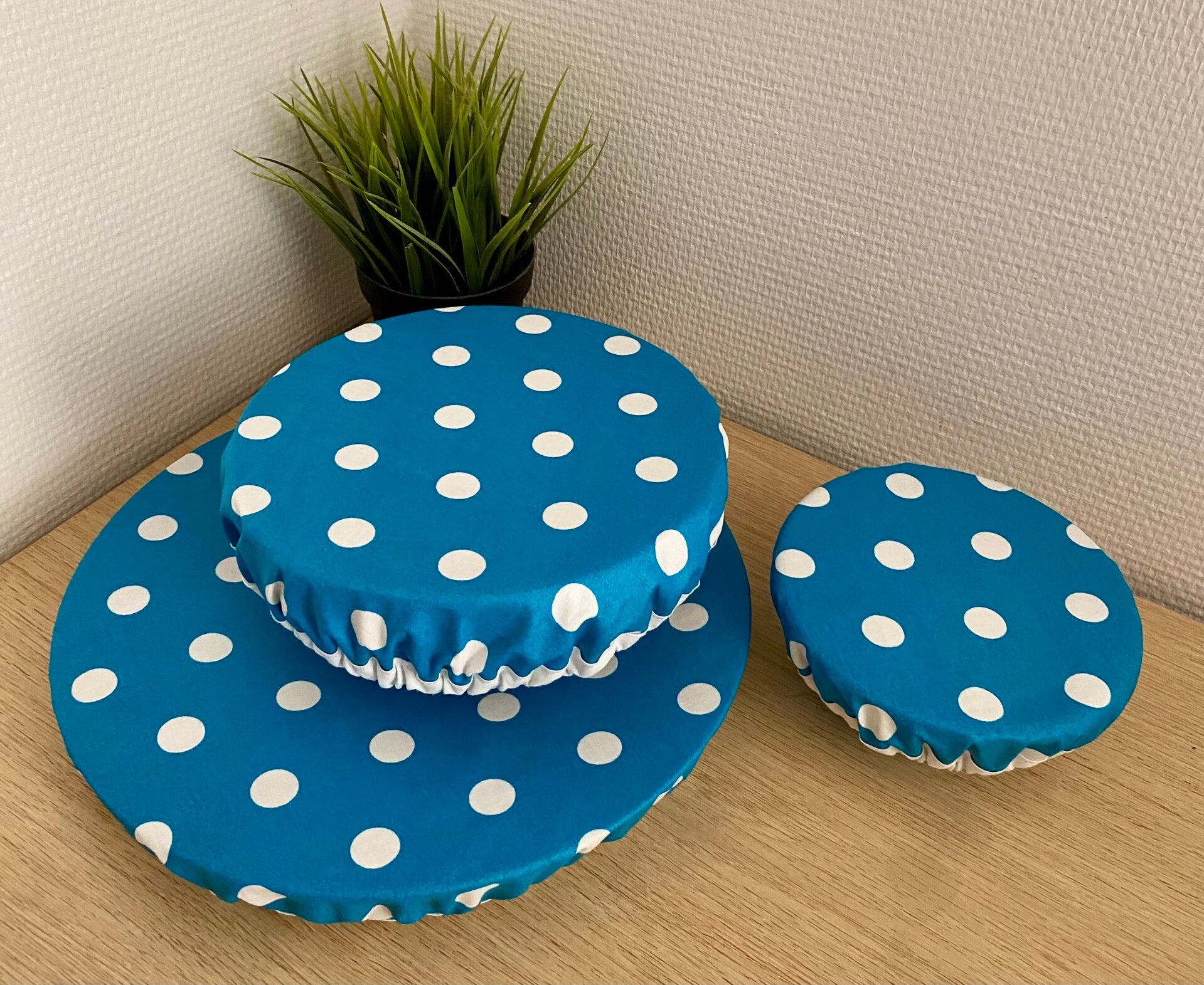 CHARLOTTES ALIMENTAIRES