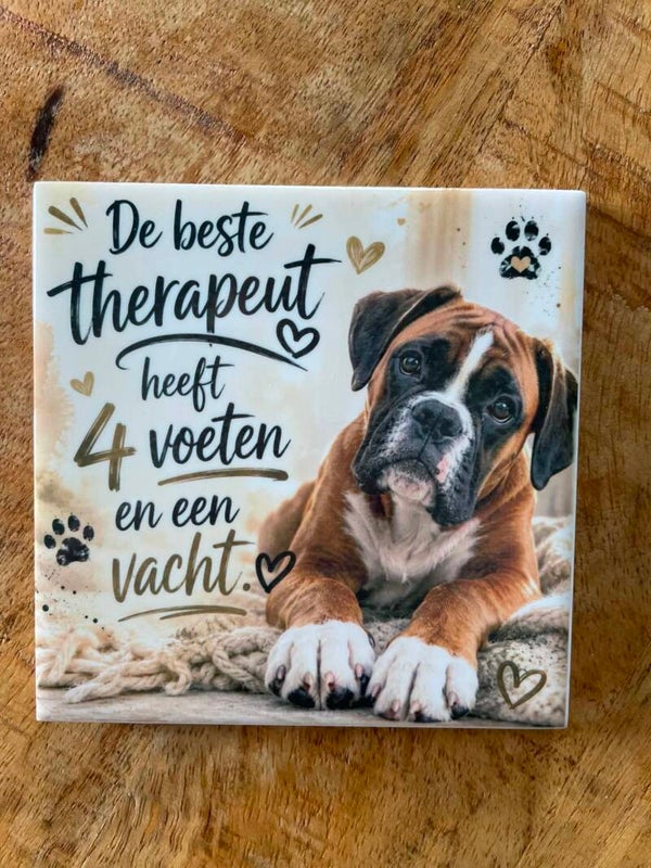 Tegeltje - De beste therapeut boxer