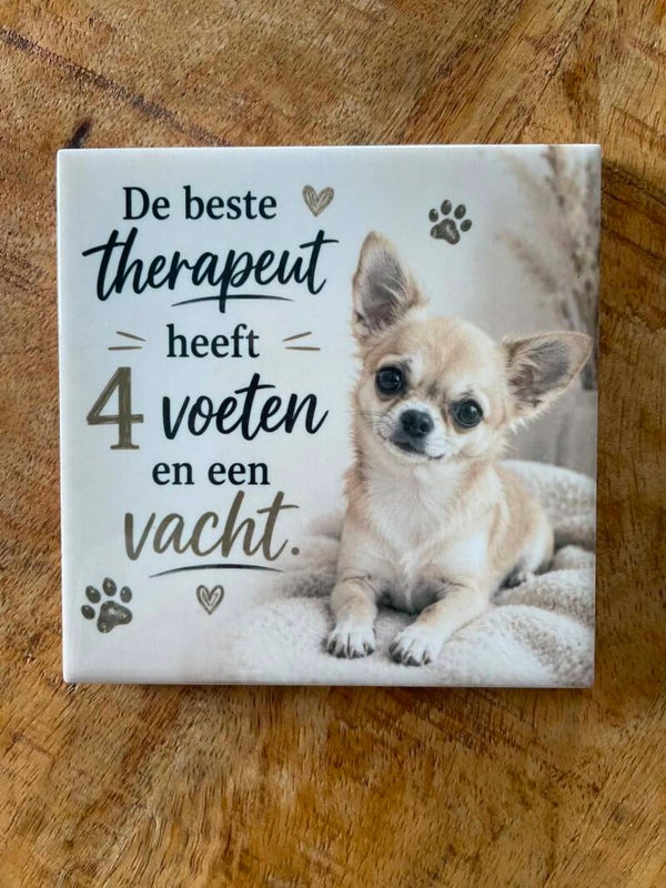 Tegeltje - De beste therapeut Chihuahua