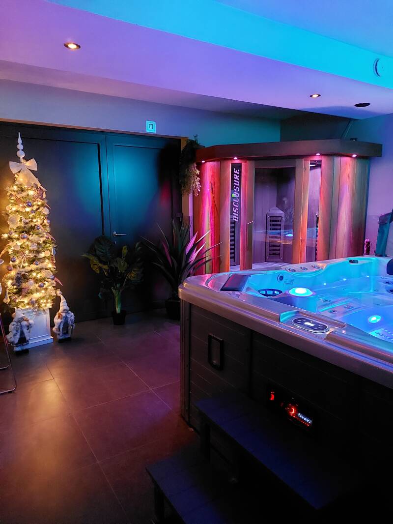 Afbeelding van de sauna en jacuzzi 