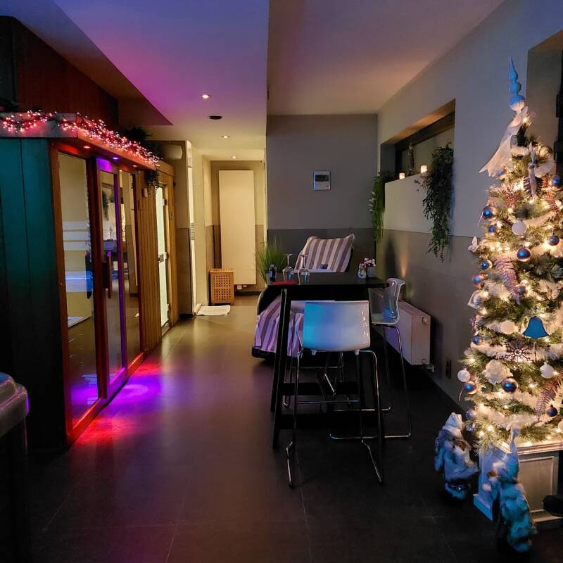 Afbeelding van het interieur van de wellness