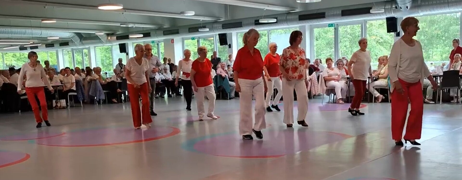 Dansdemo in Zottegem
