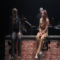 img_0205-standard.jpg