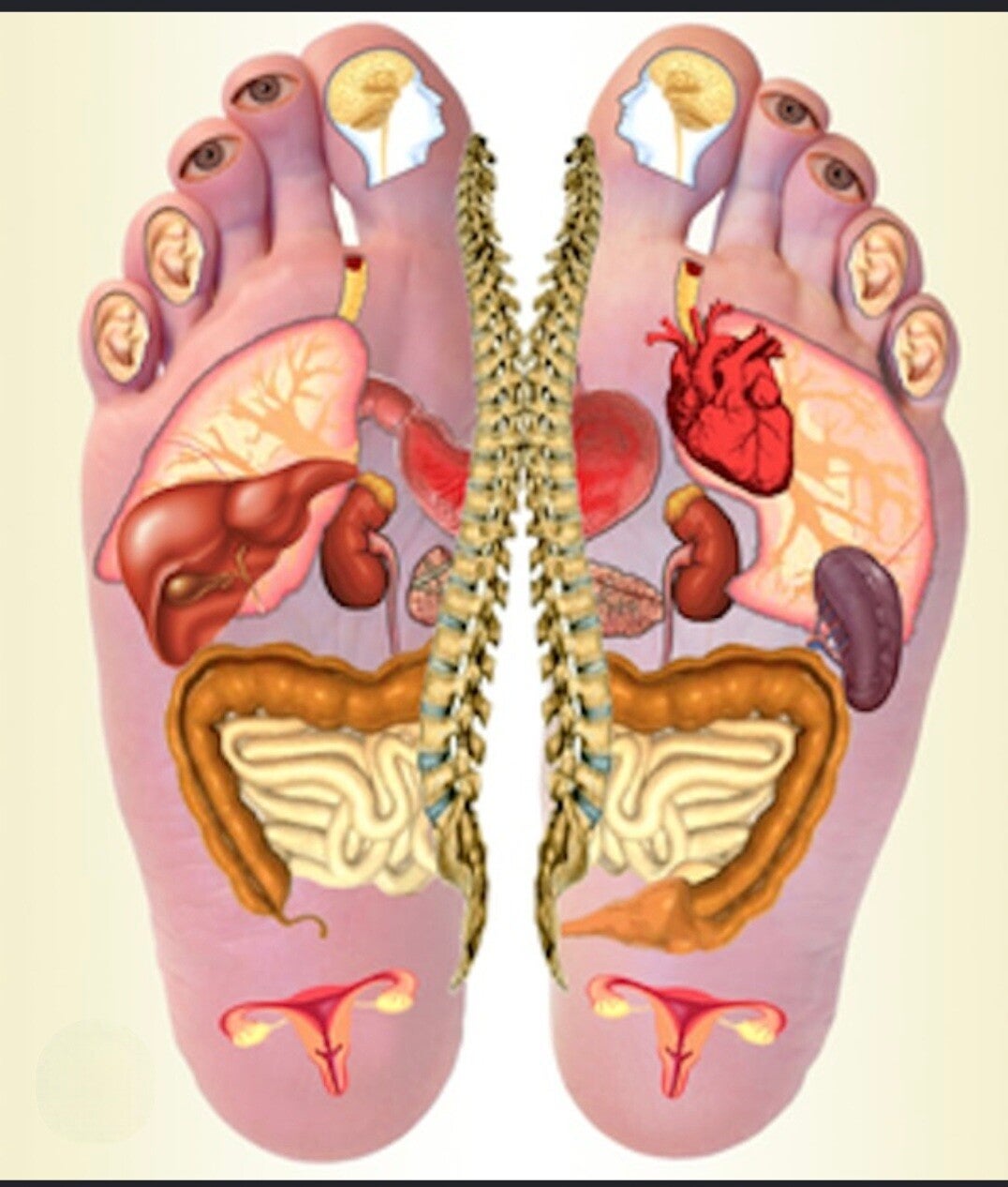 Massaggio con  riflessologia plantare