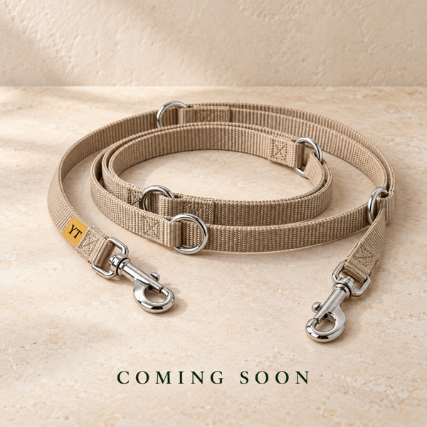 The Puppy Training Lead — Sand