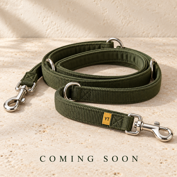 The Everyday Training Lead — Forest Green