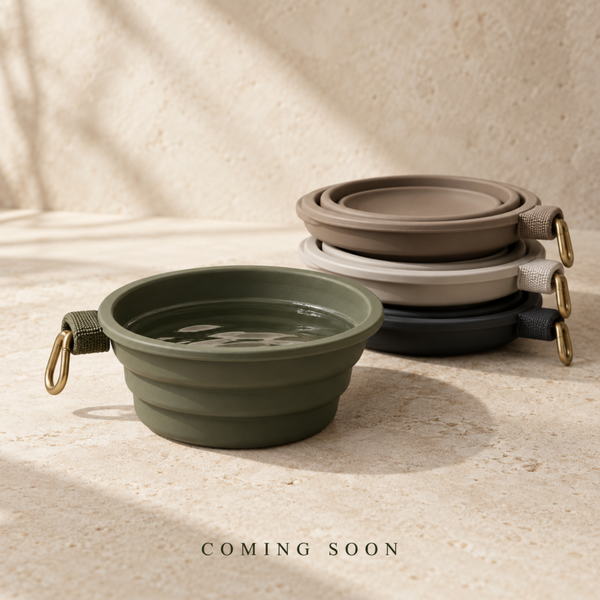 The Foldaway Water Bowl